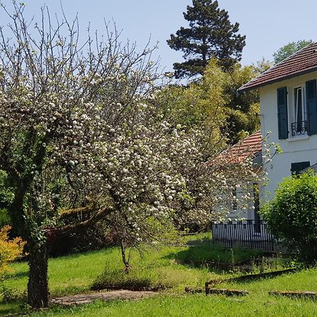 Appartamento La Petite Sommiere Besançon Esterno foto