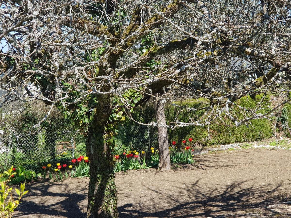 Appartamento La Petite Sommiere Besançon Esterno foto