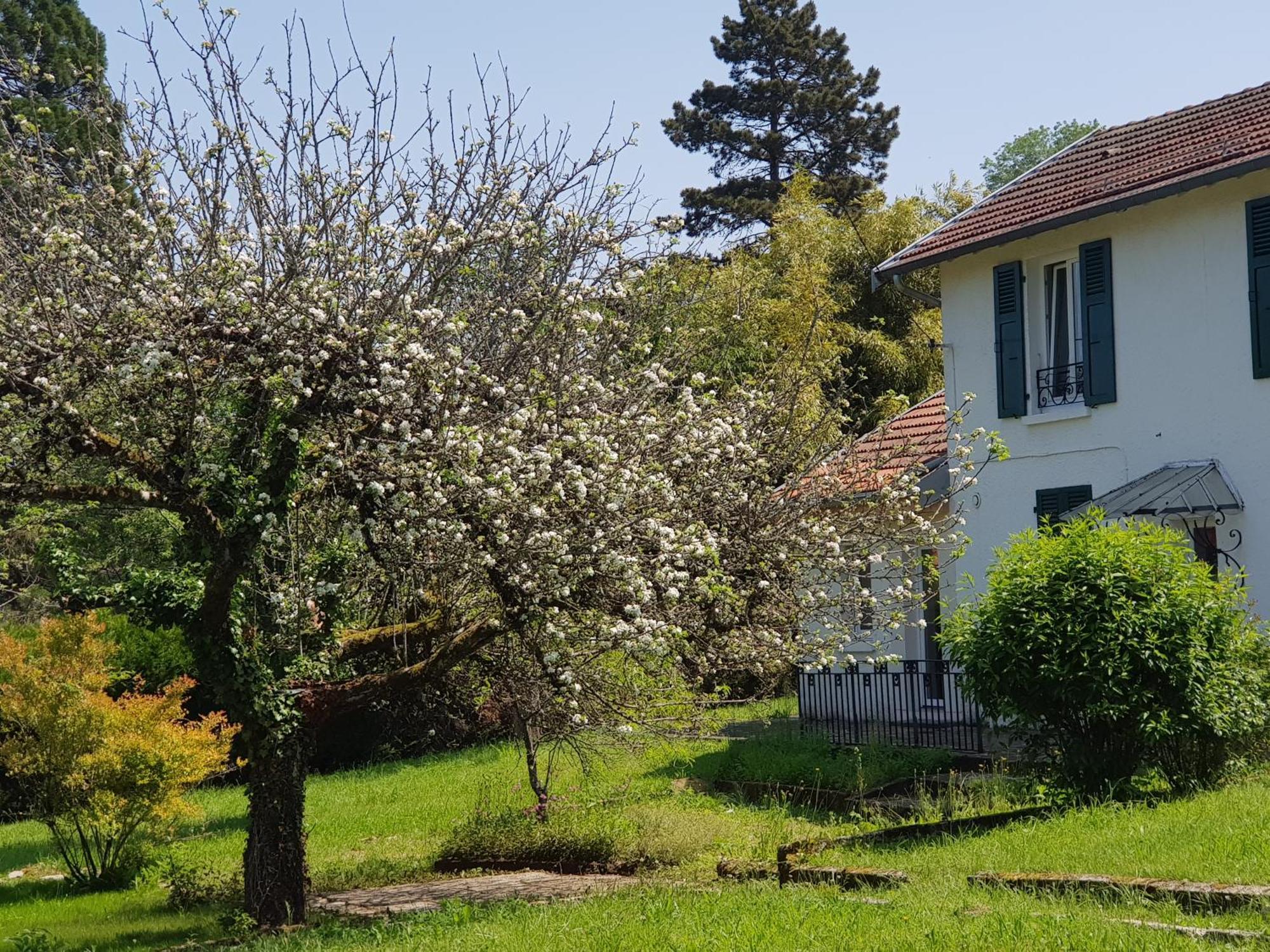 Appartamento La Petite Sommiere Besançon Esterno foto